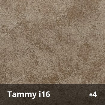 Tammy i16 4